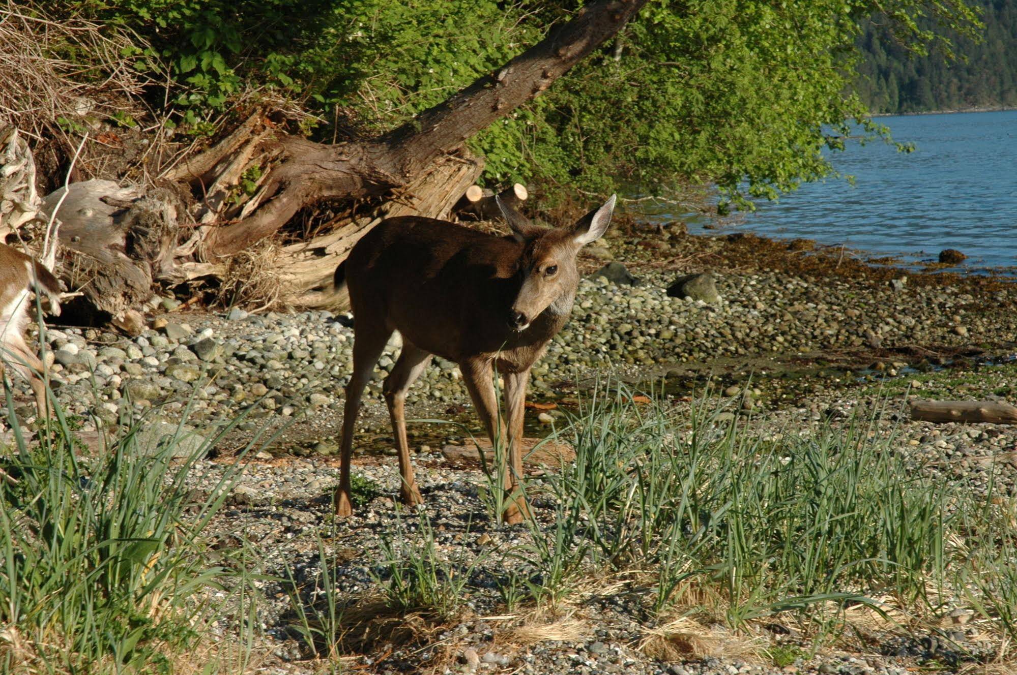 At The Shore Bed and Breakfast