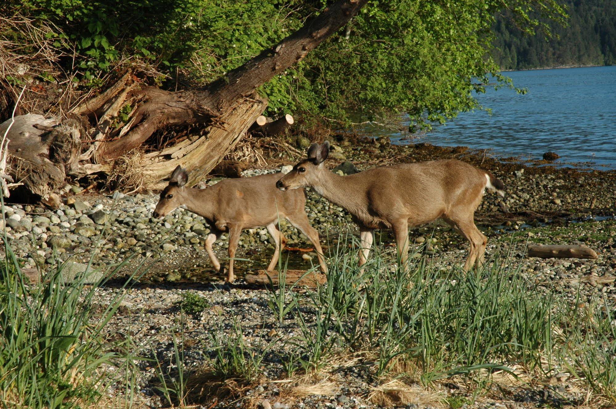 At The Shore Bed and Breakfast