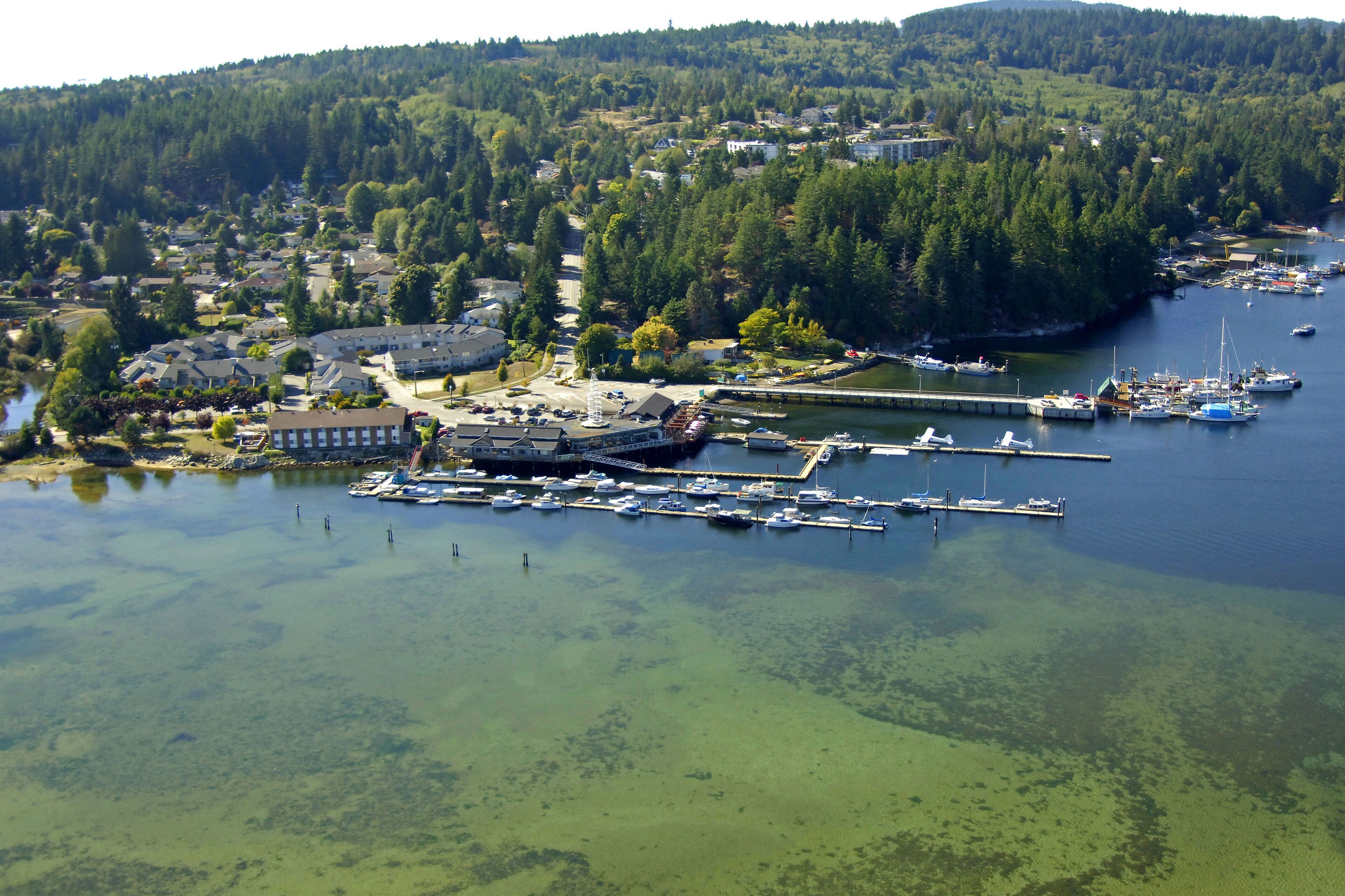 The Spot at Porpoise Bay