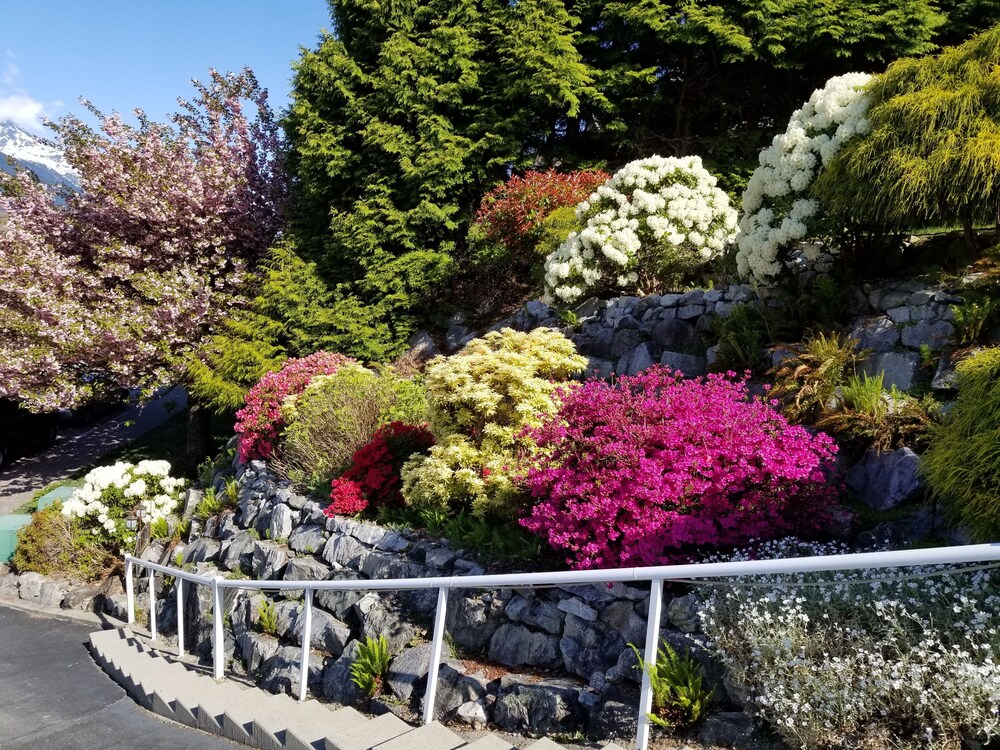 Highlands Bed & Breakfast