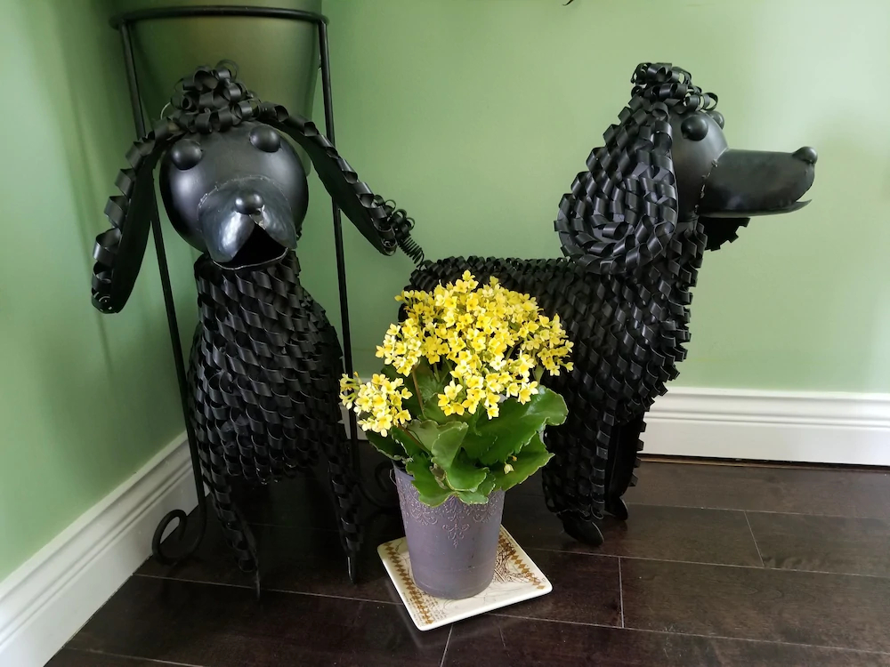 Highlands Bed & Breakfast