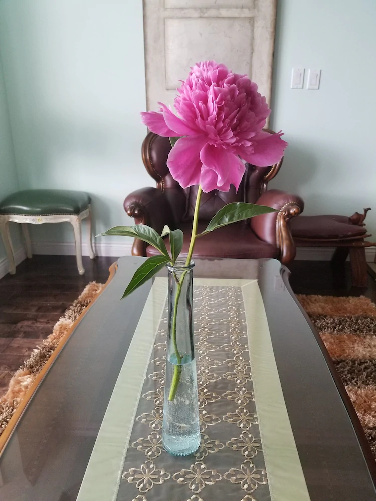 Highlands Bed & Breakfast