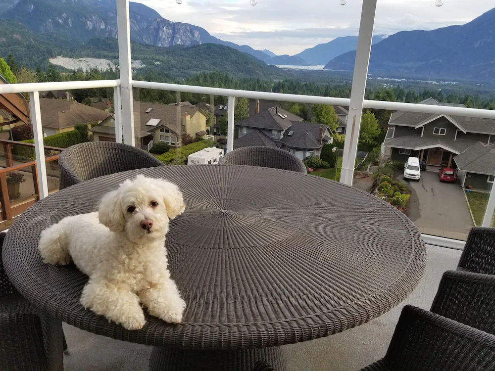 Highlands Bed & Breakfast