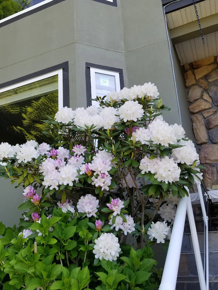 Highlands Bed & Breakfast