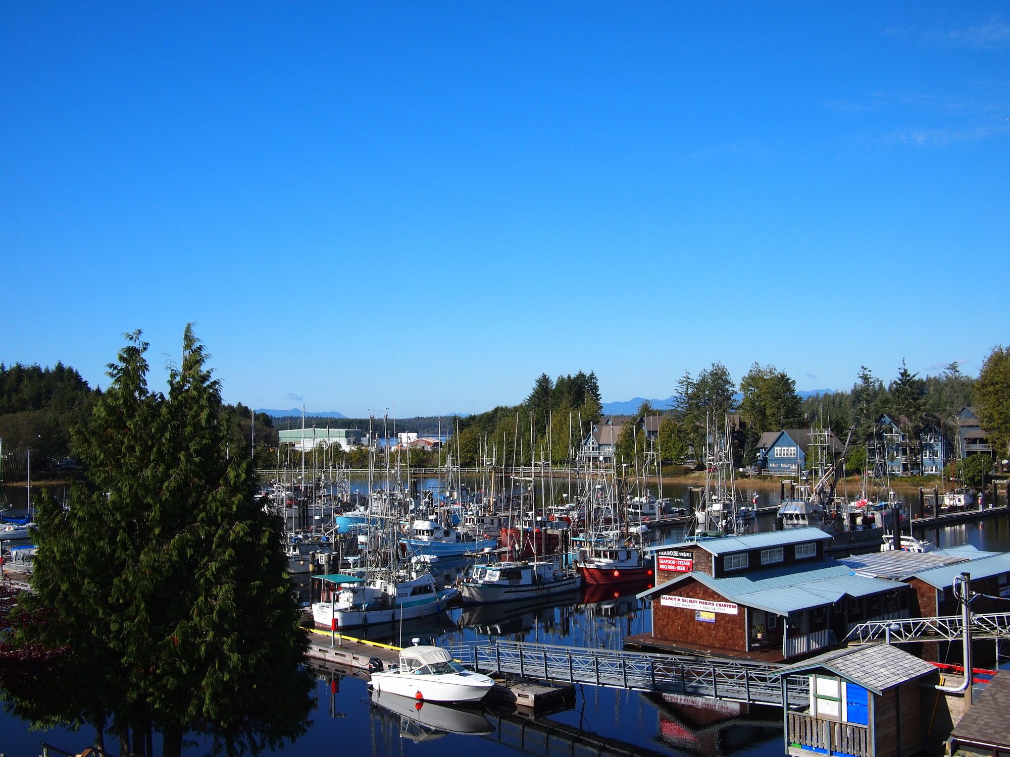 West Coast Motel On The Harbour