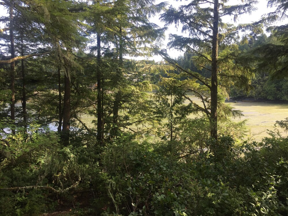 Sitka House by Natural Elements Vacation Rentals