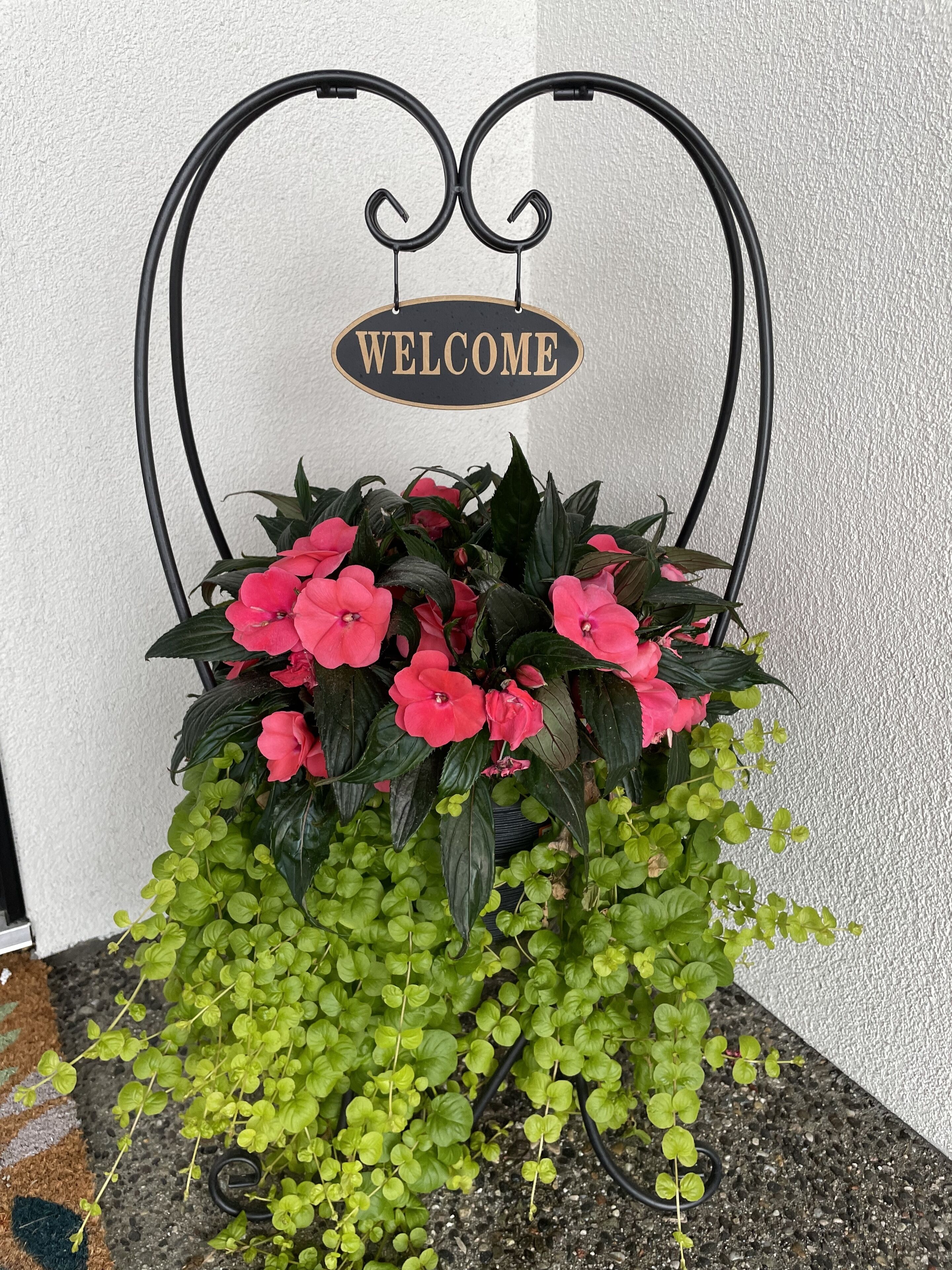 Shannon Heights B&B