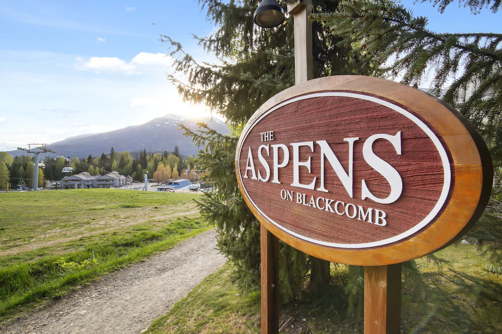 The Aspens on Blackcomb by Whiski Jack