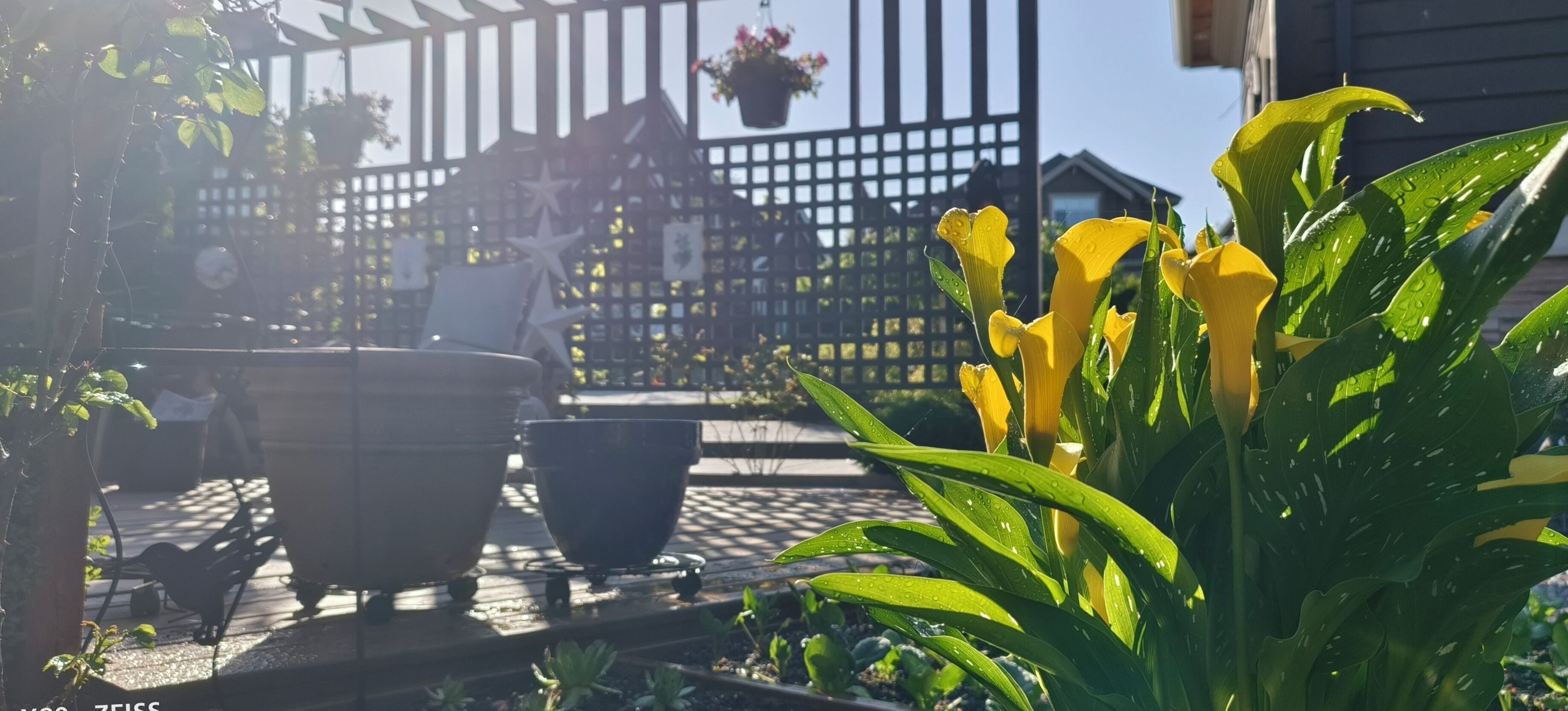 Sunny Island by White Rock