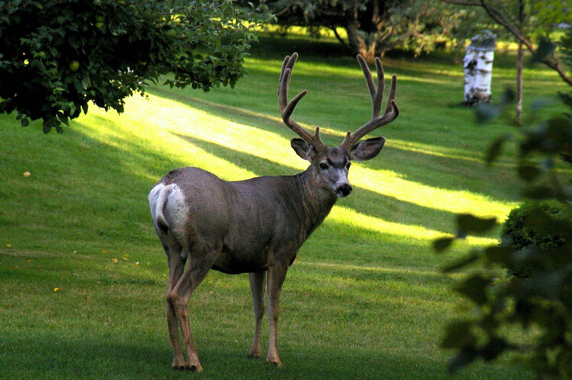 Windermere Lakeside Bed and Breakfast