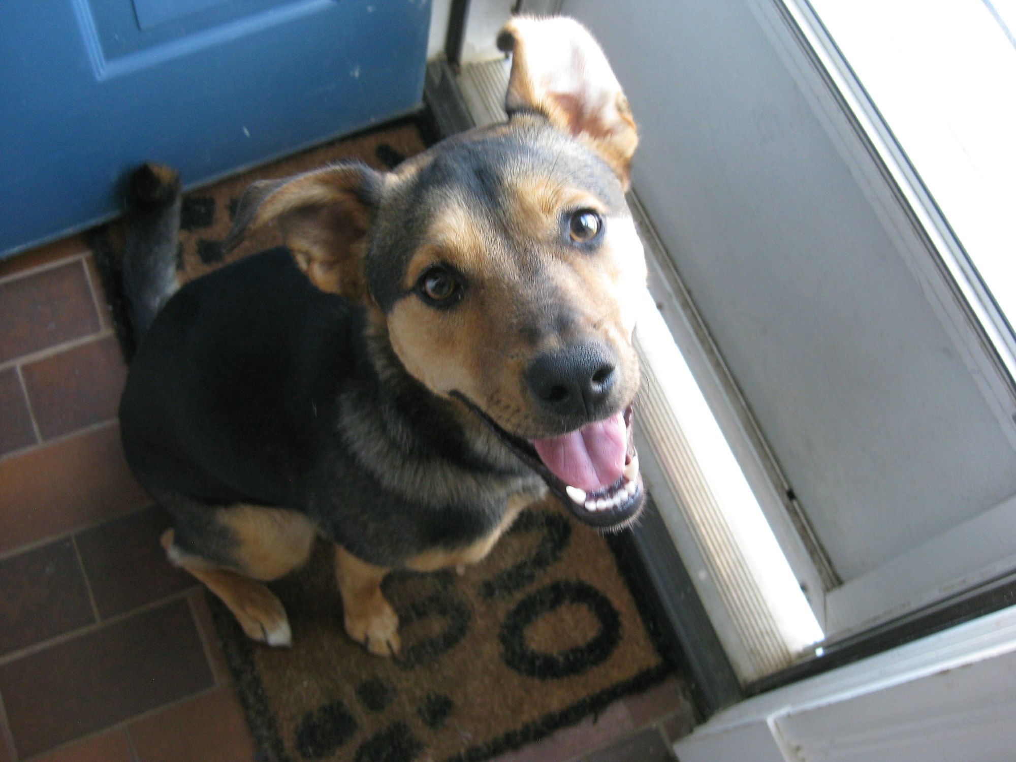 Four Winds Bed and Breakfast