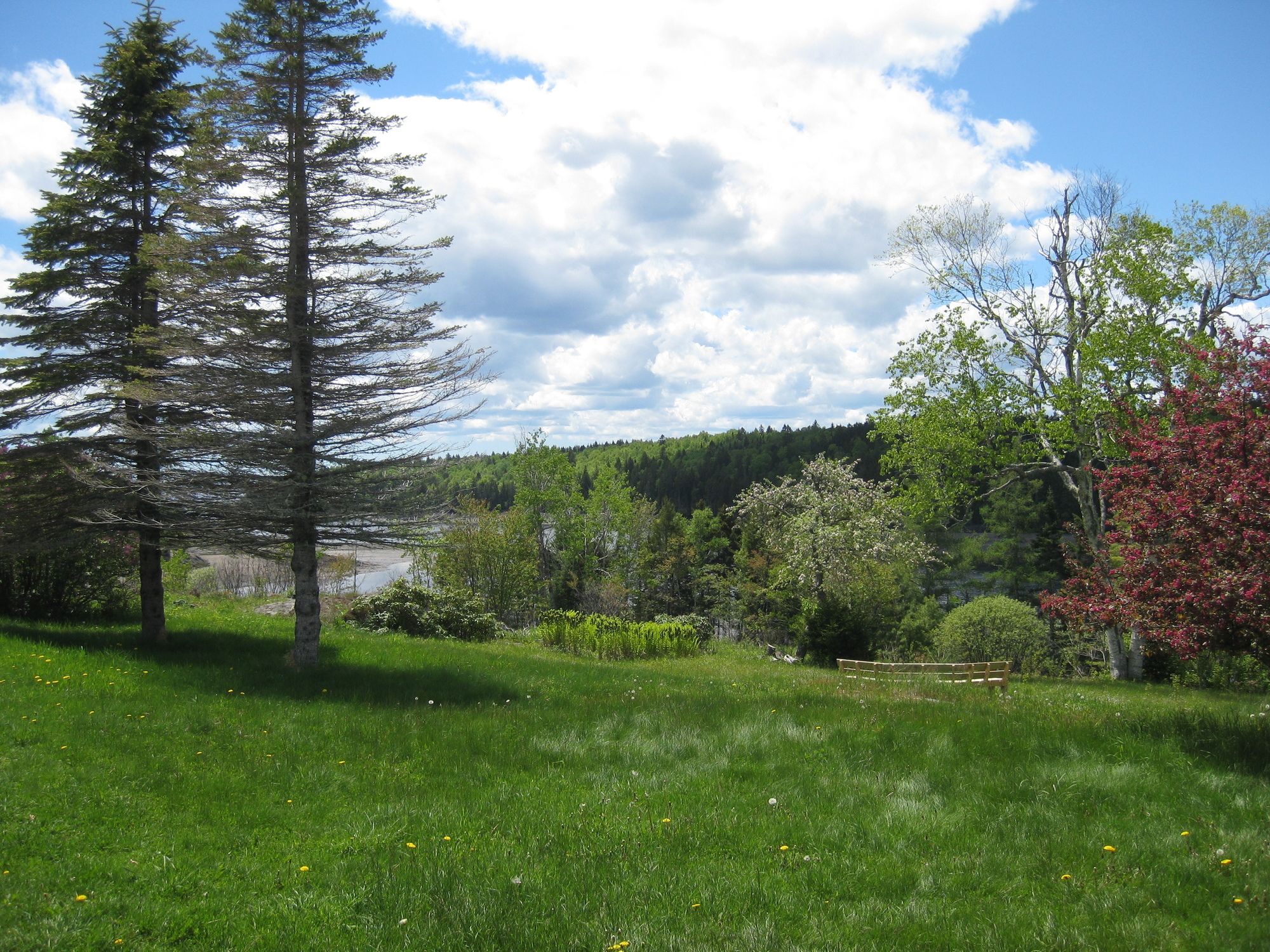 Four Winds Bed and Breakfast