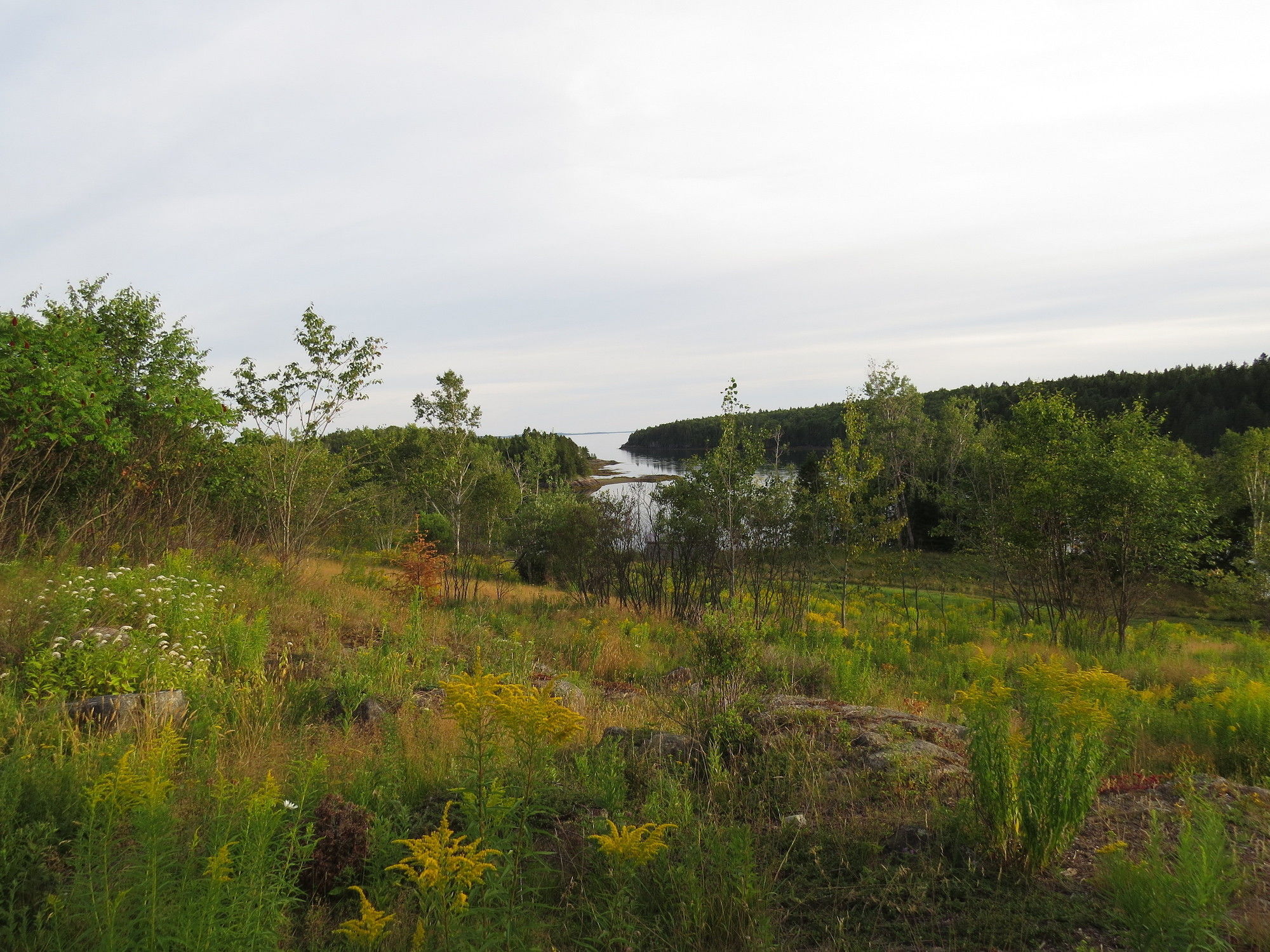 Four Winds Bed and Breakfast