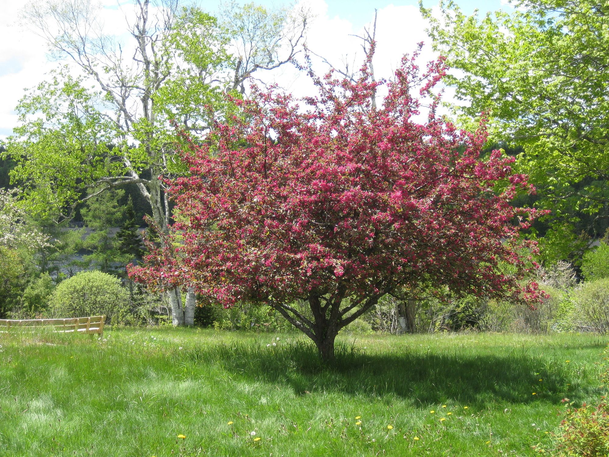 Four Winds Bed and Breakfast