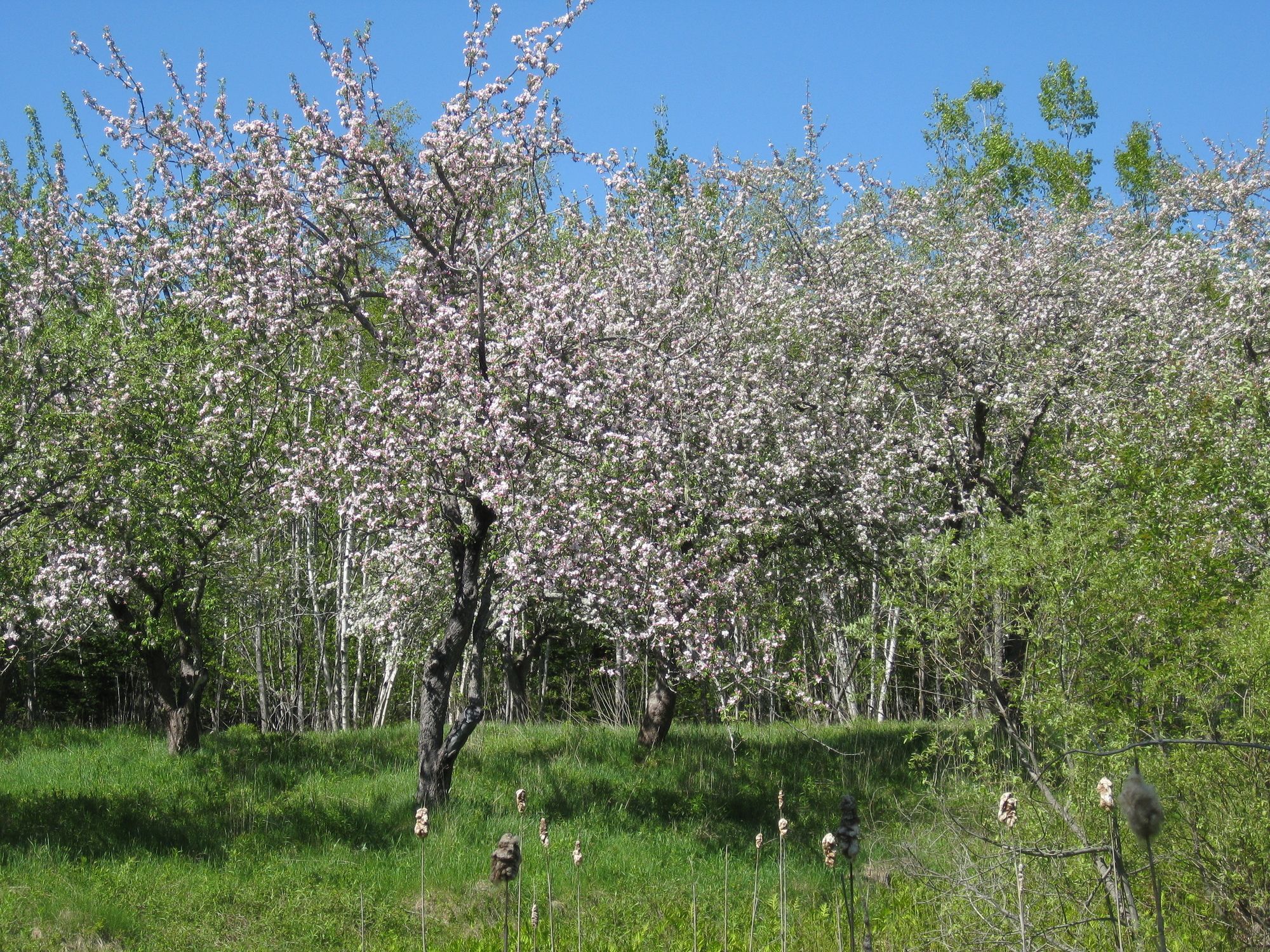 Four Winds Bed and Breakfast