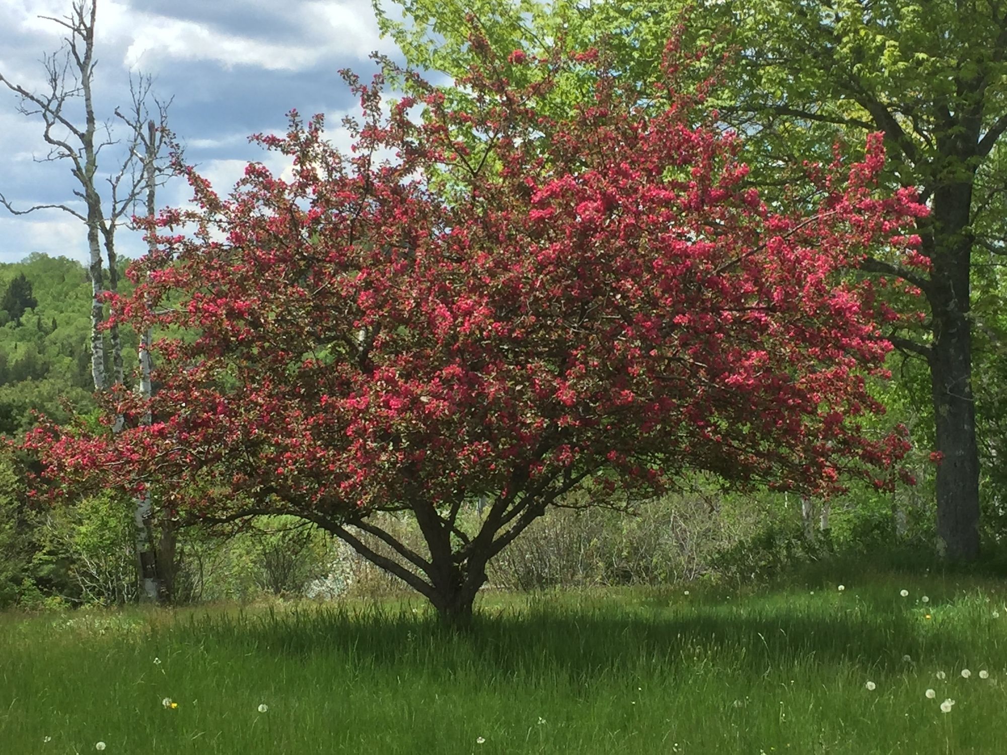 Four Winds Bed and Breakfast