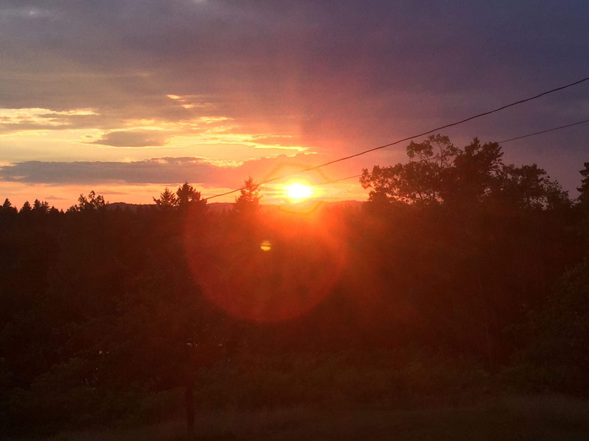 Four Winds Bed and Breakfast