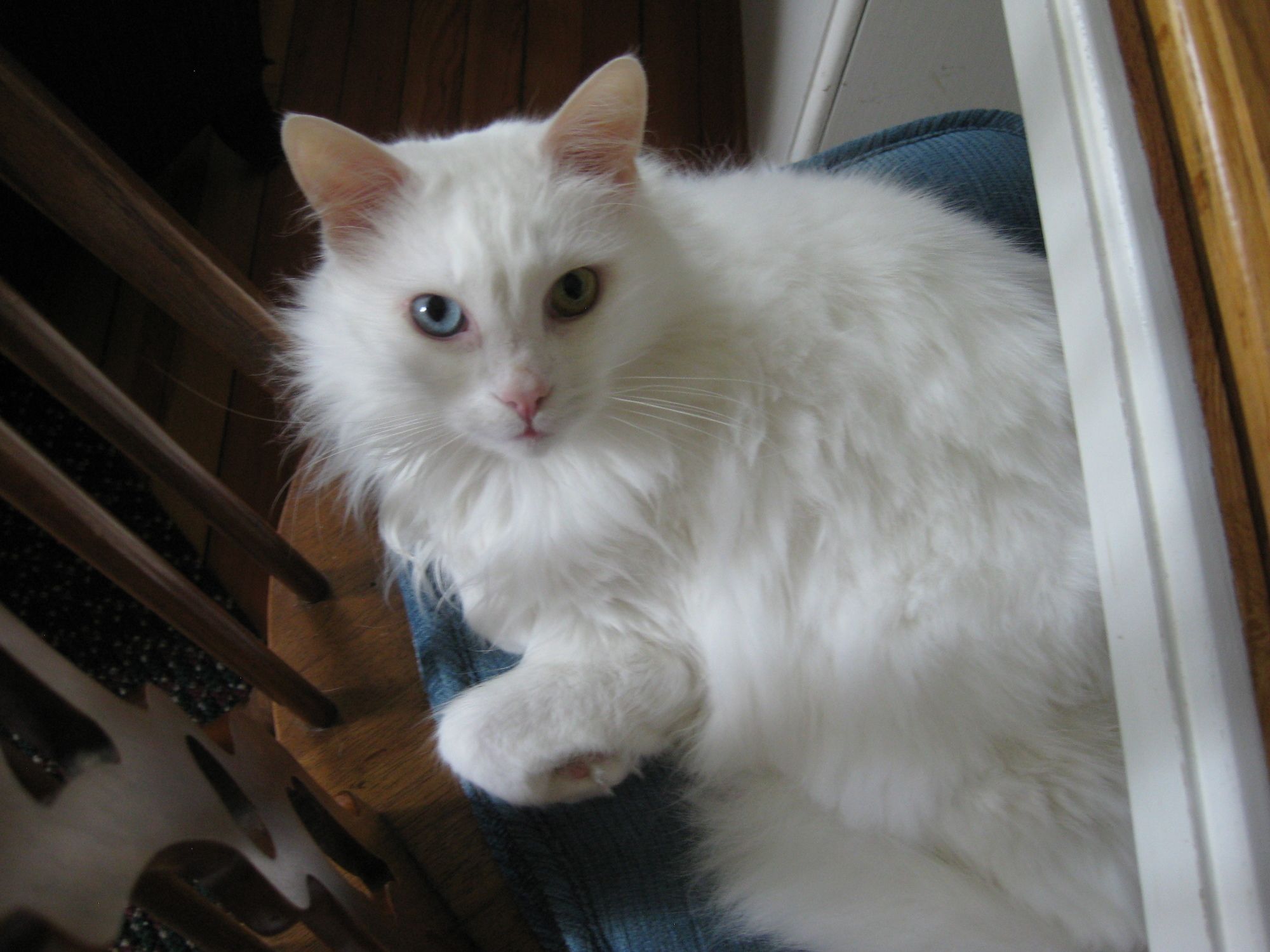 Four Winds Bed and Breakfast