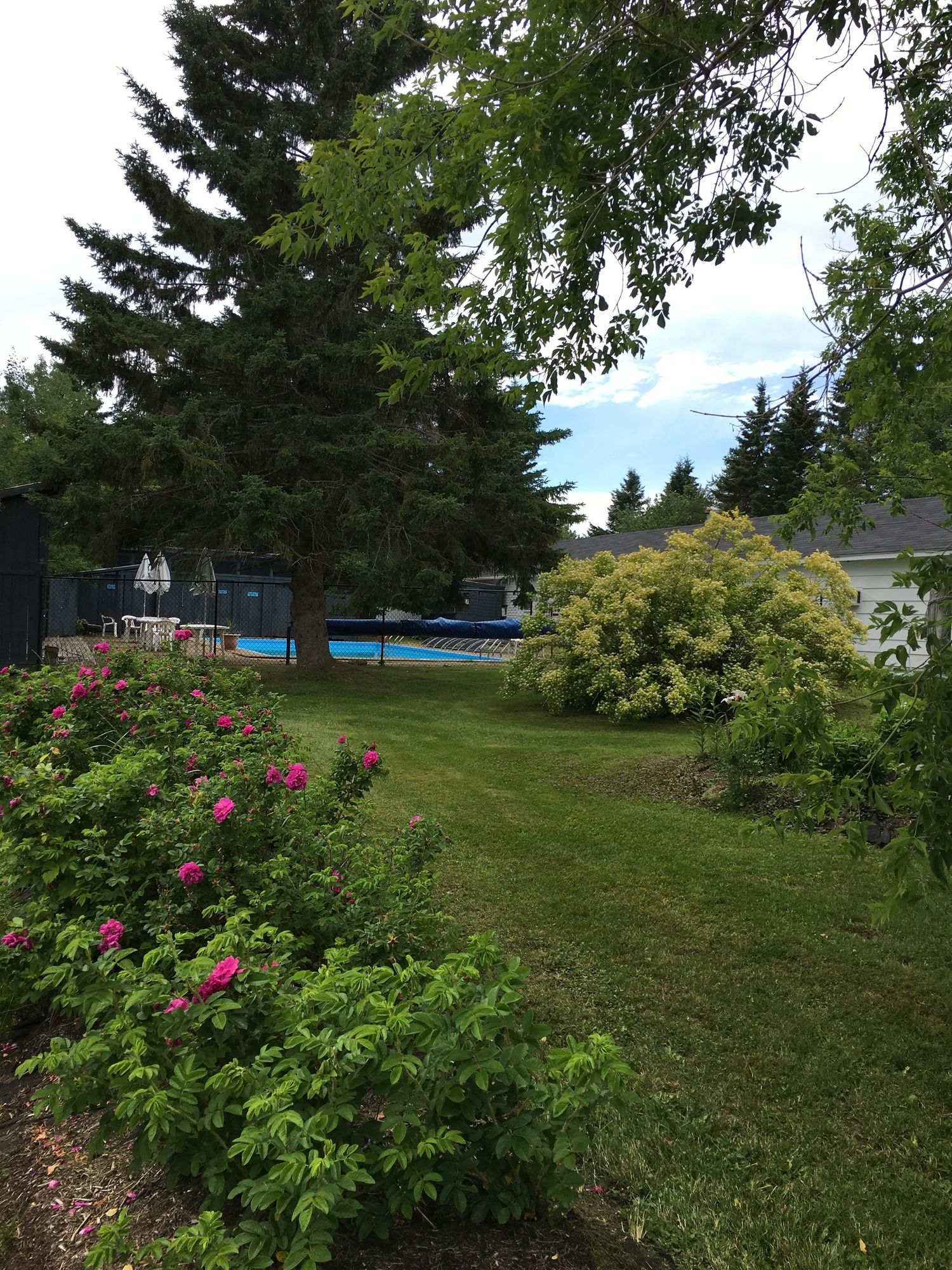 Timberland Motel & Restaurant