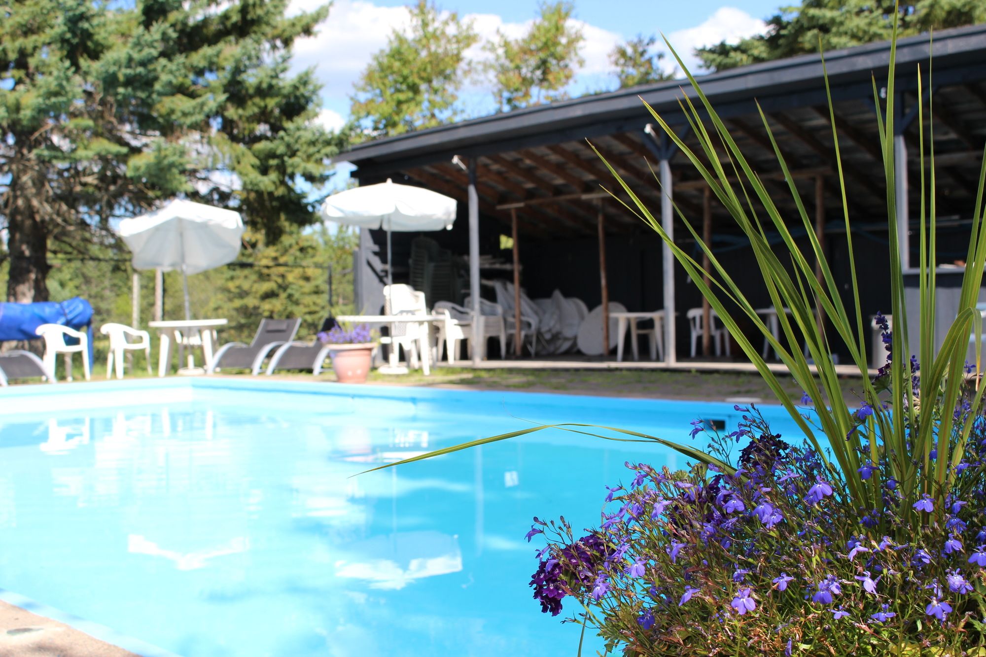 Timberland Motel & Restaurant