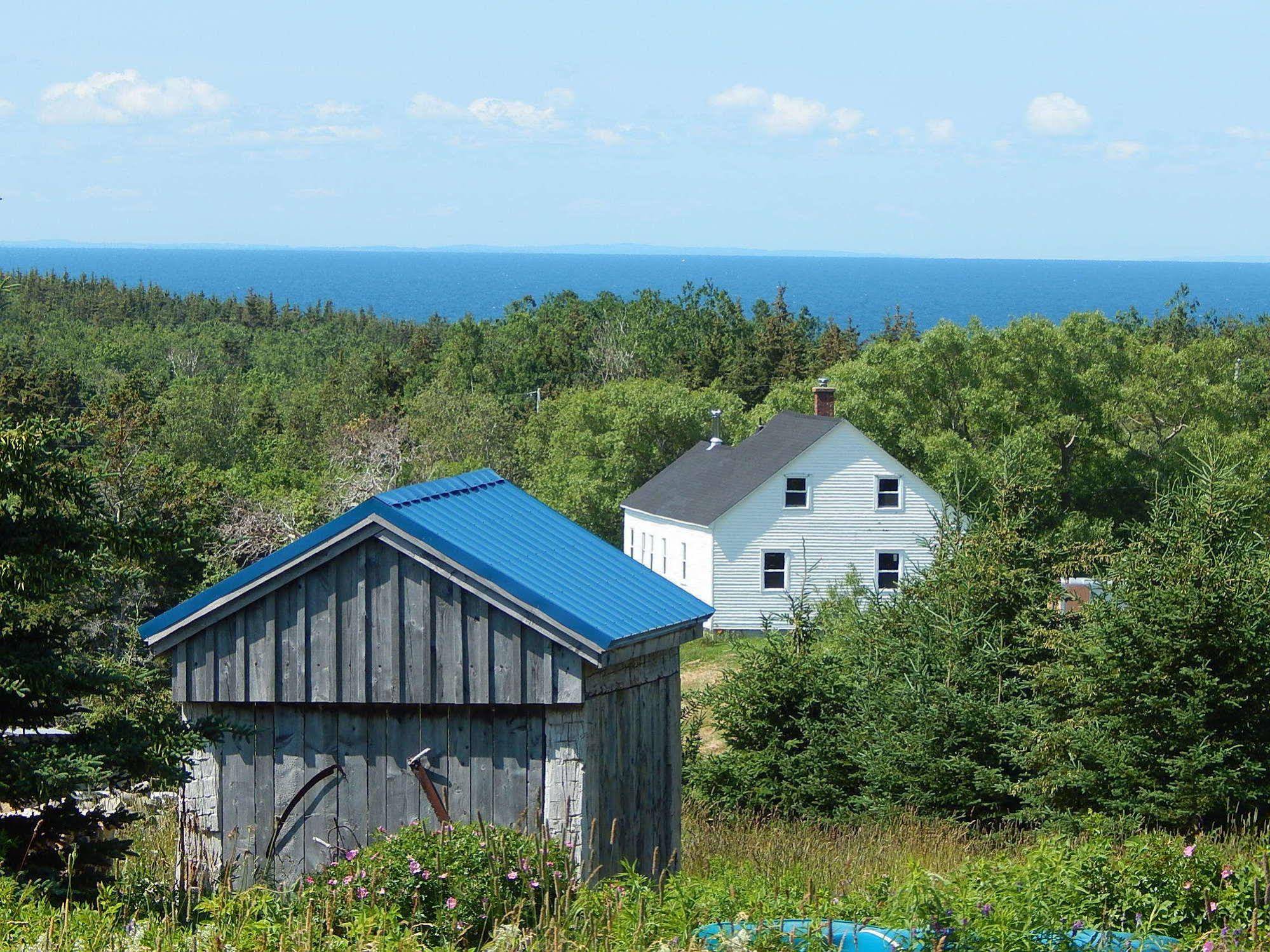 Blue Tin Roof Bed & Breakfast