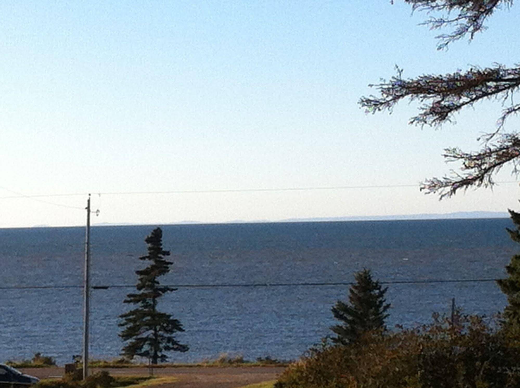 Rocky Shores and Seals Cottages