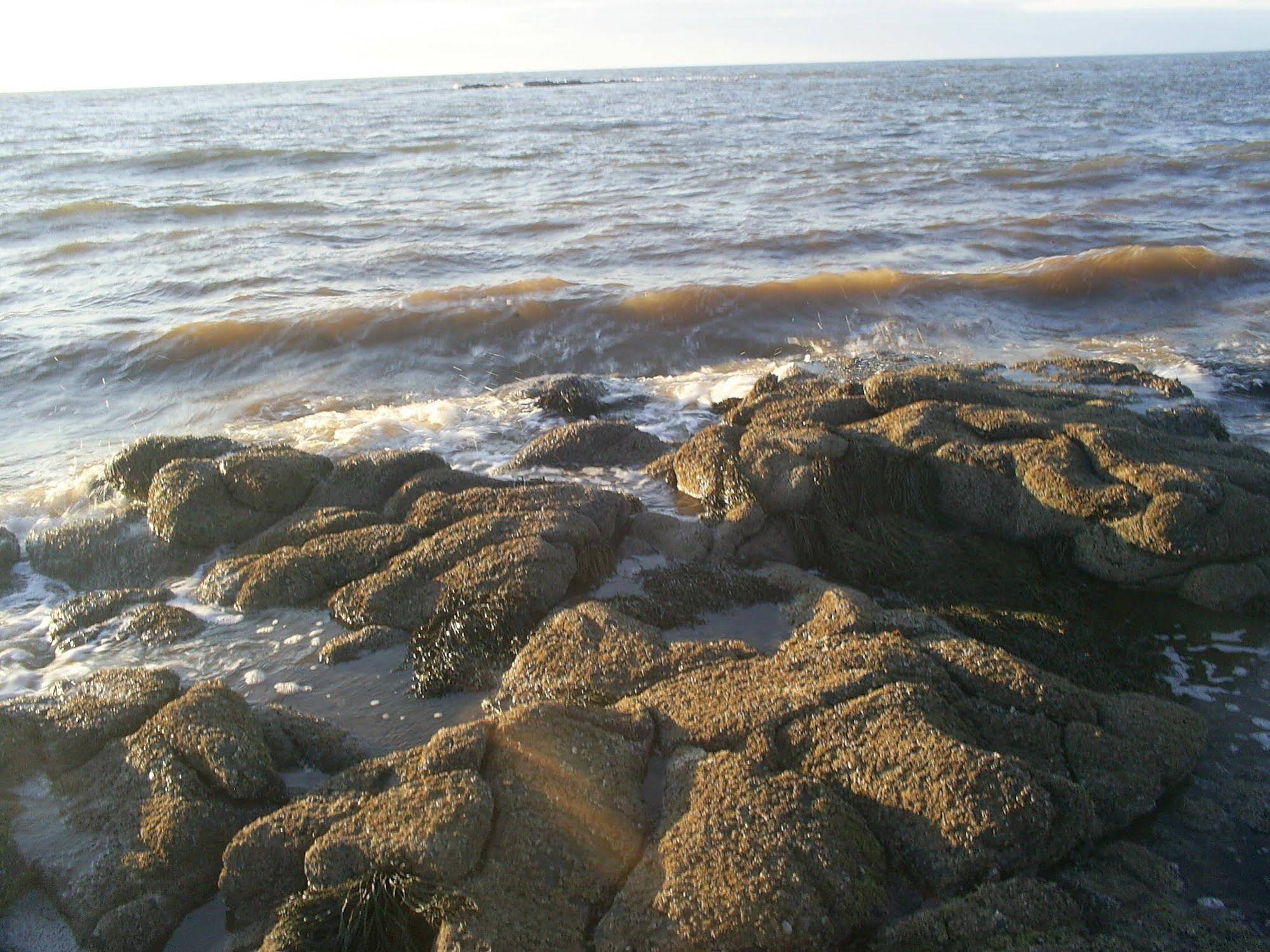 Rocky Shores and Seals Cottages