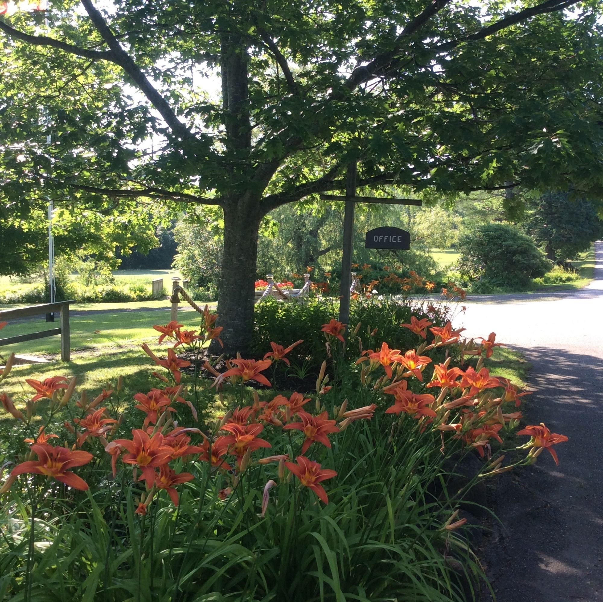 The Villages Of Mountain Gap Resort