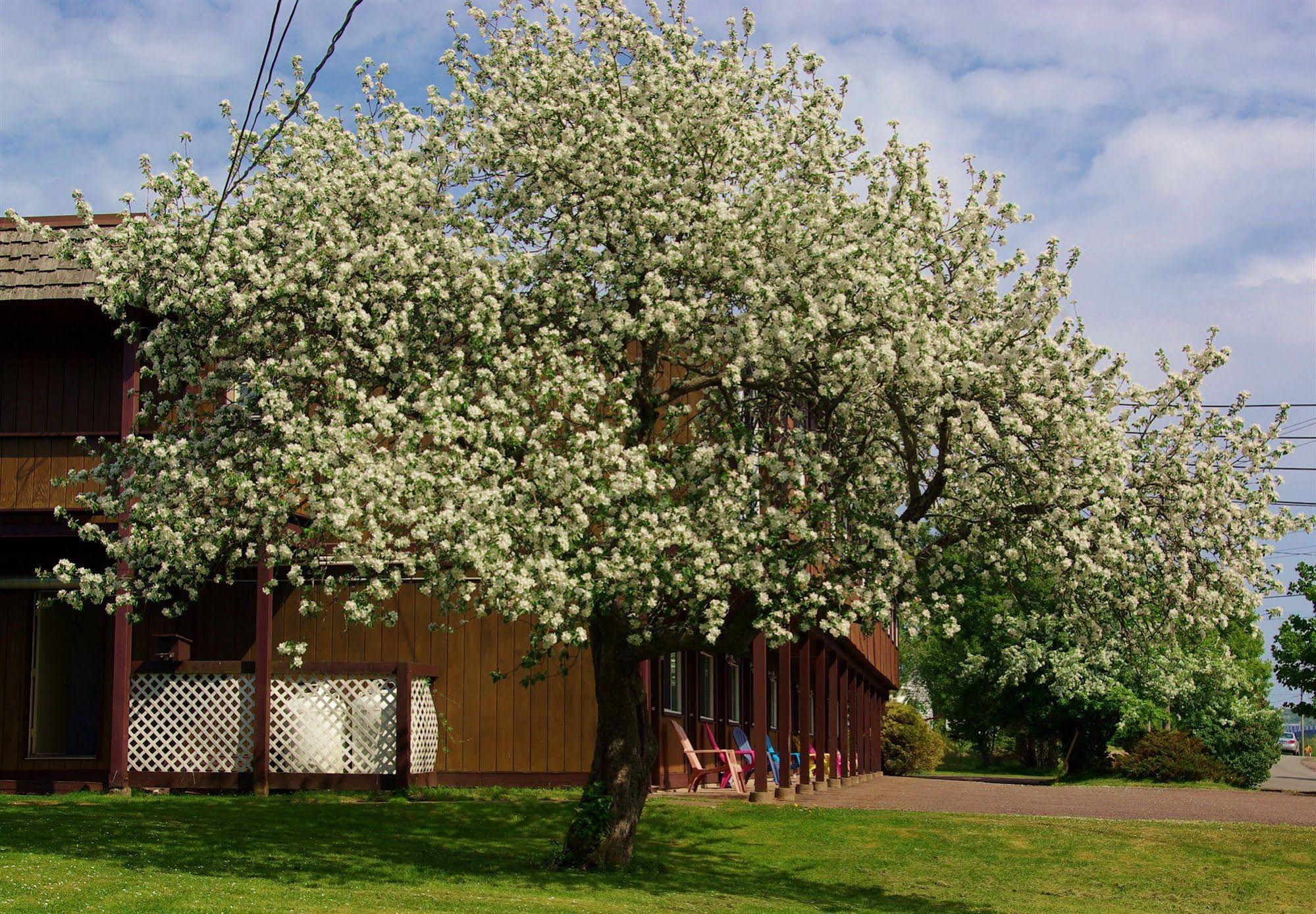 The Tidal Bore Inn