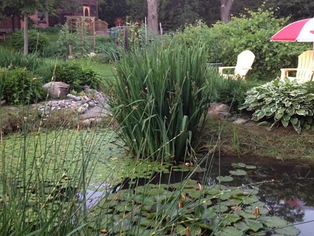 By The Pond Bed And Breakfast