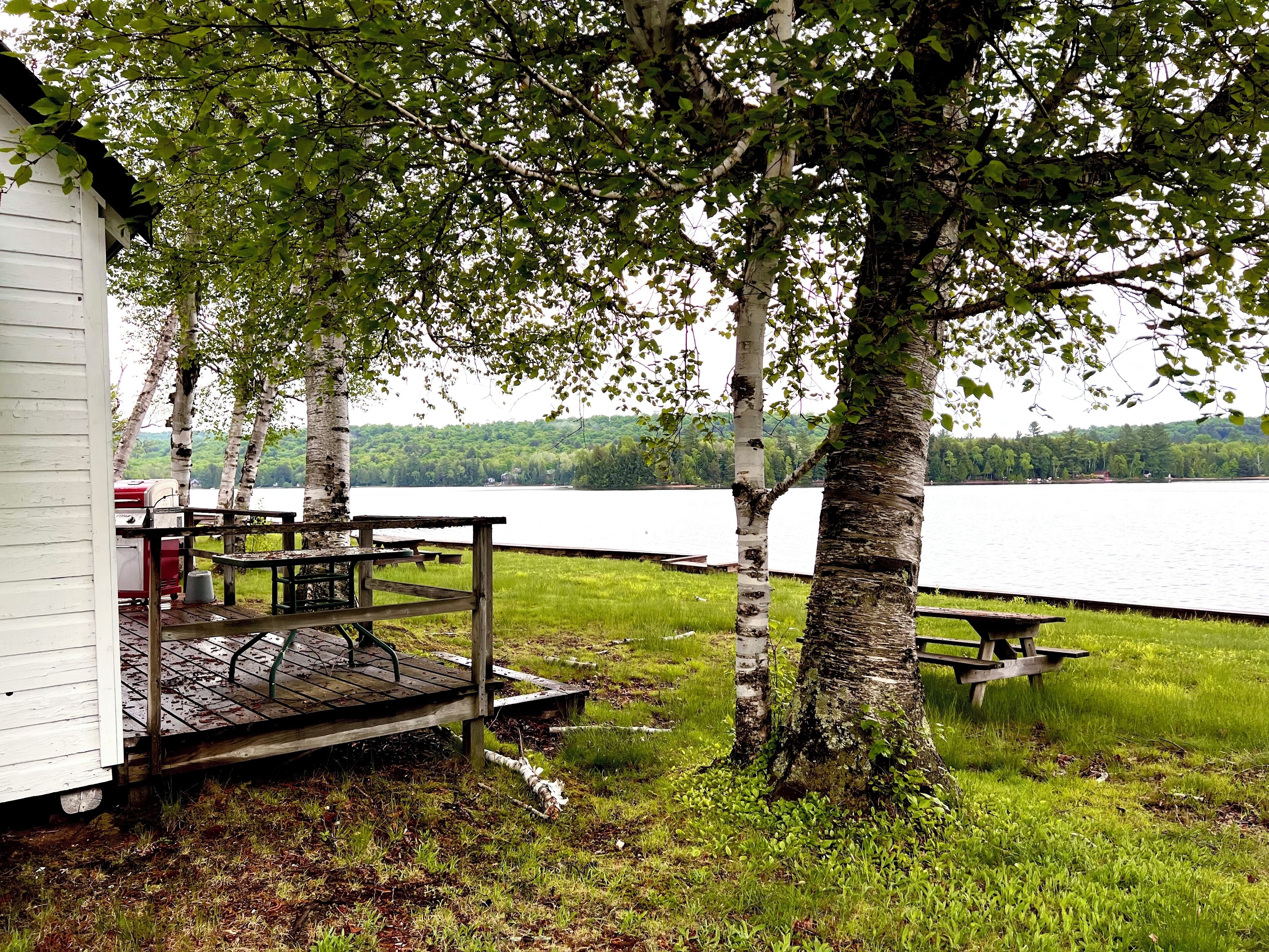 White Birches Cottage