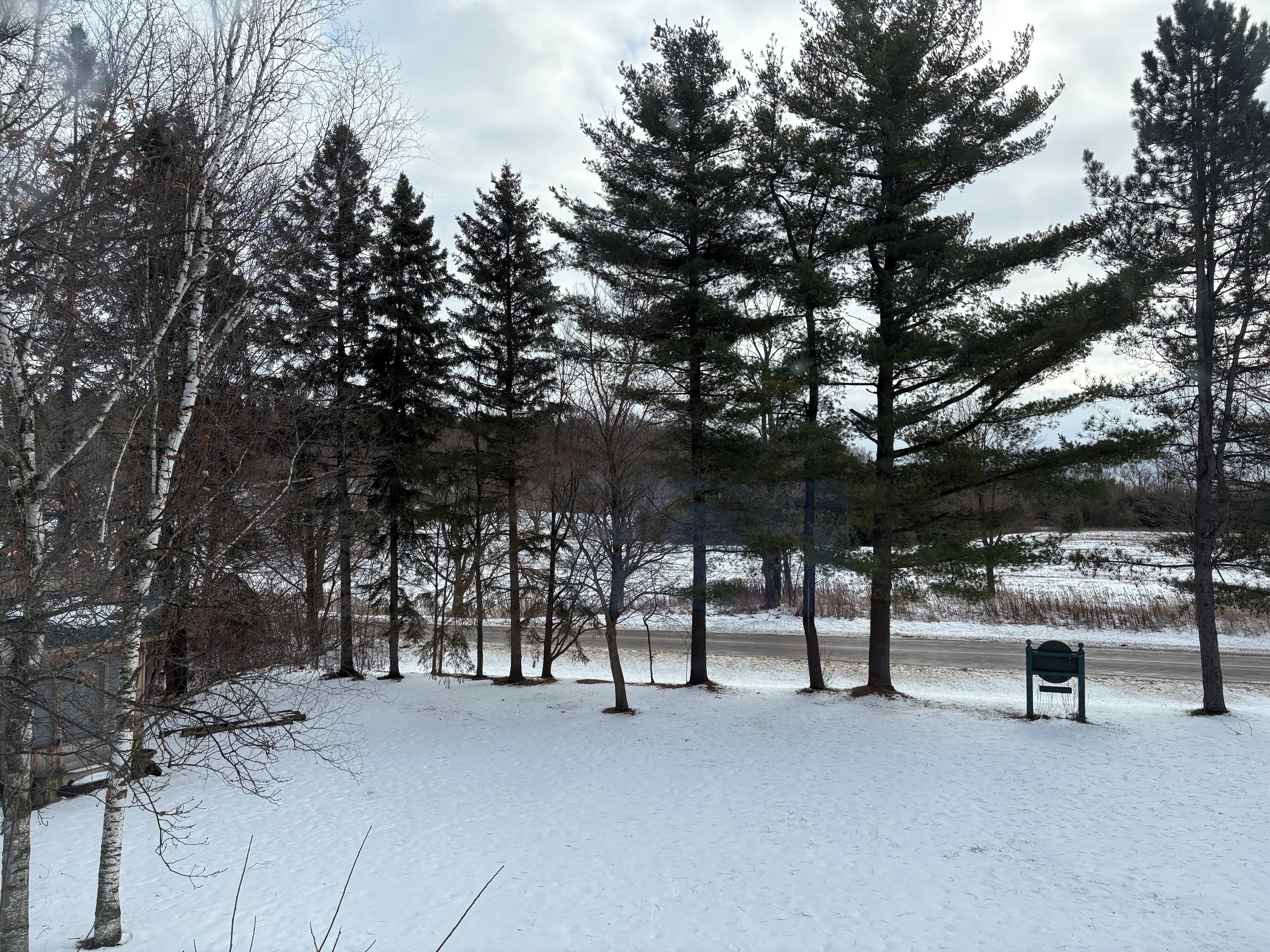 Tailwinds B&B