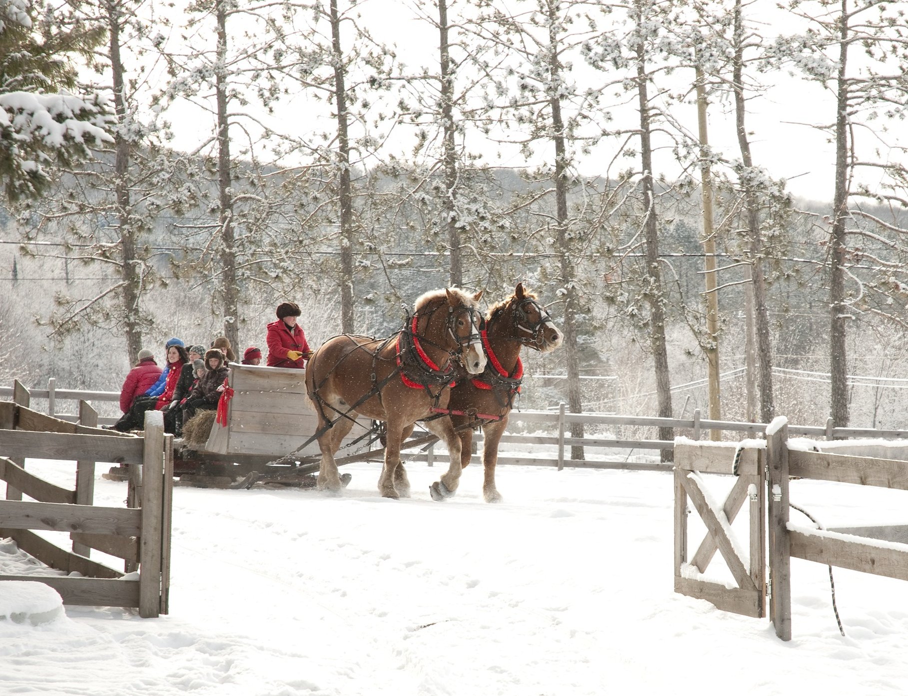 Deerhurst Resort