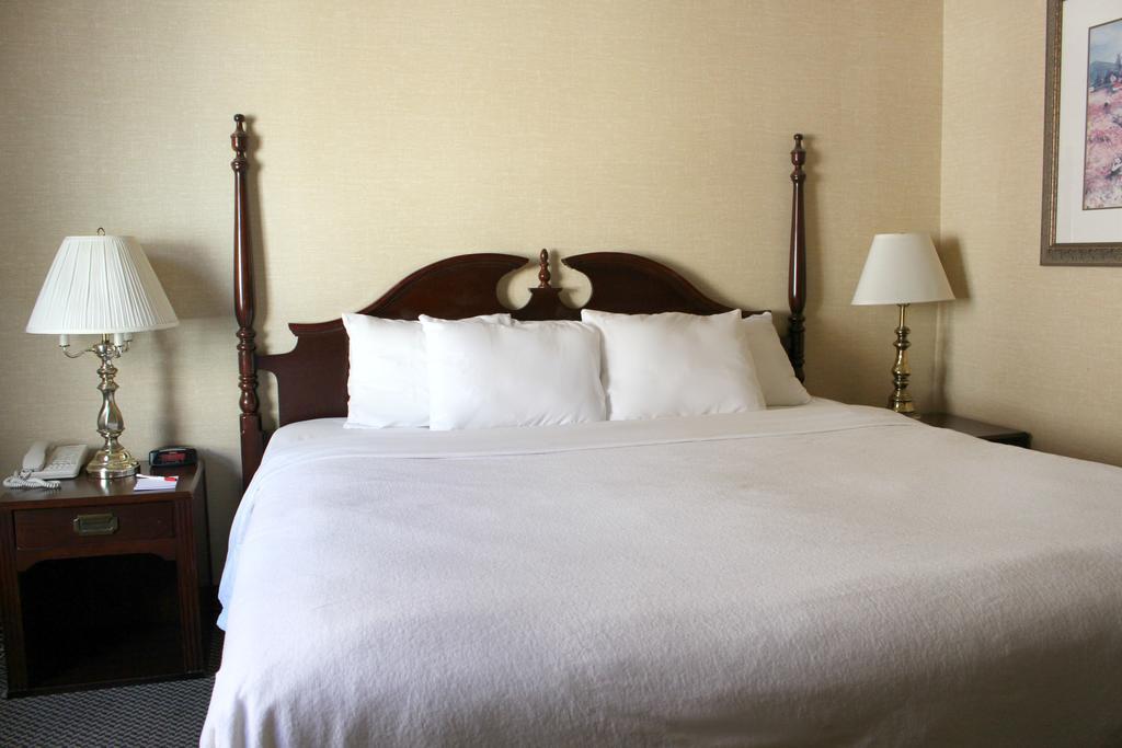 Econo Lodge City Centre Kingston