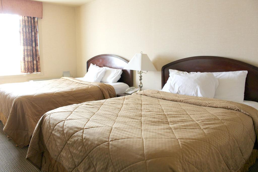 Econo Lodge City Centre Kingston