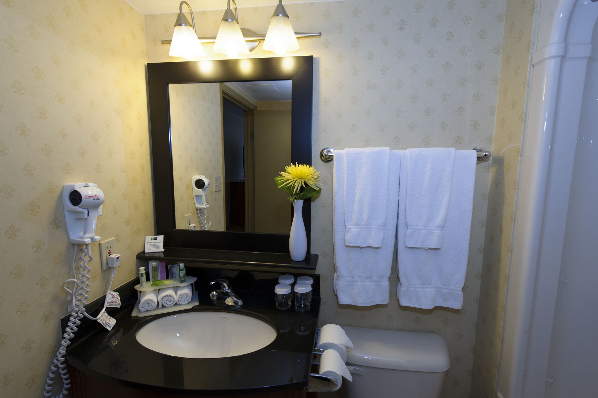 Sandman Hotel & Suites London Downtown