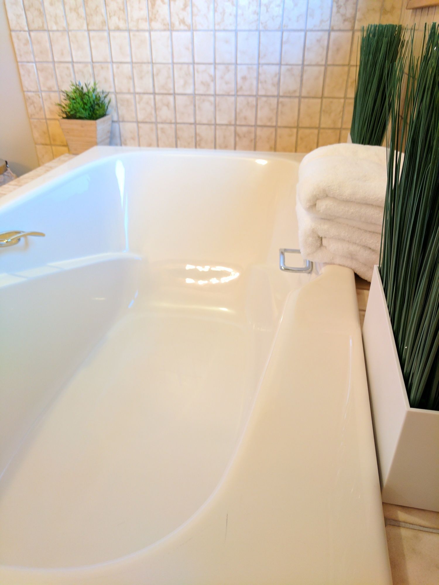 Lion's Pride Guest House