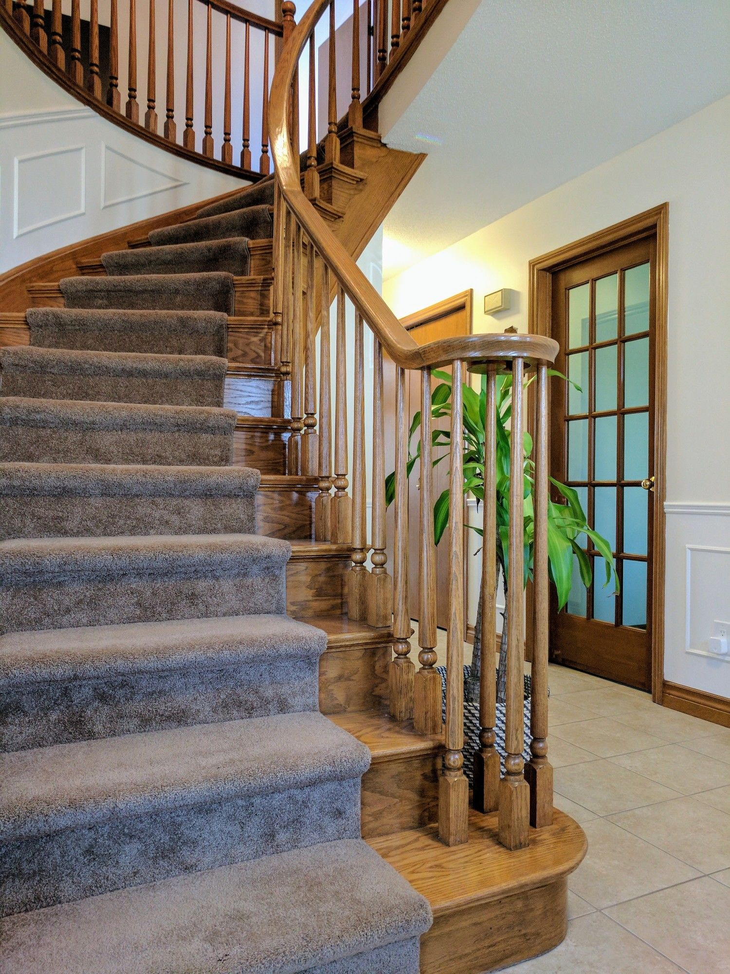Lion's Pride Guest House