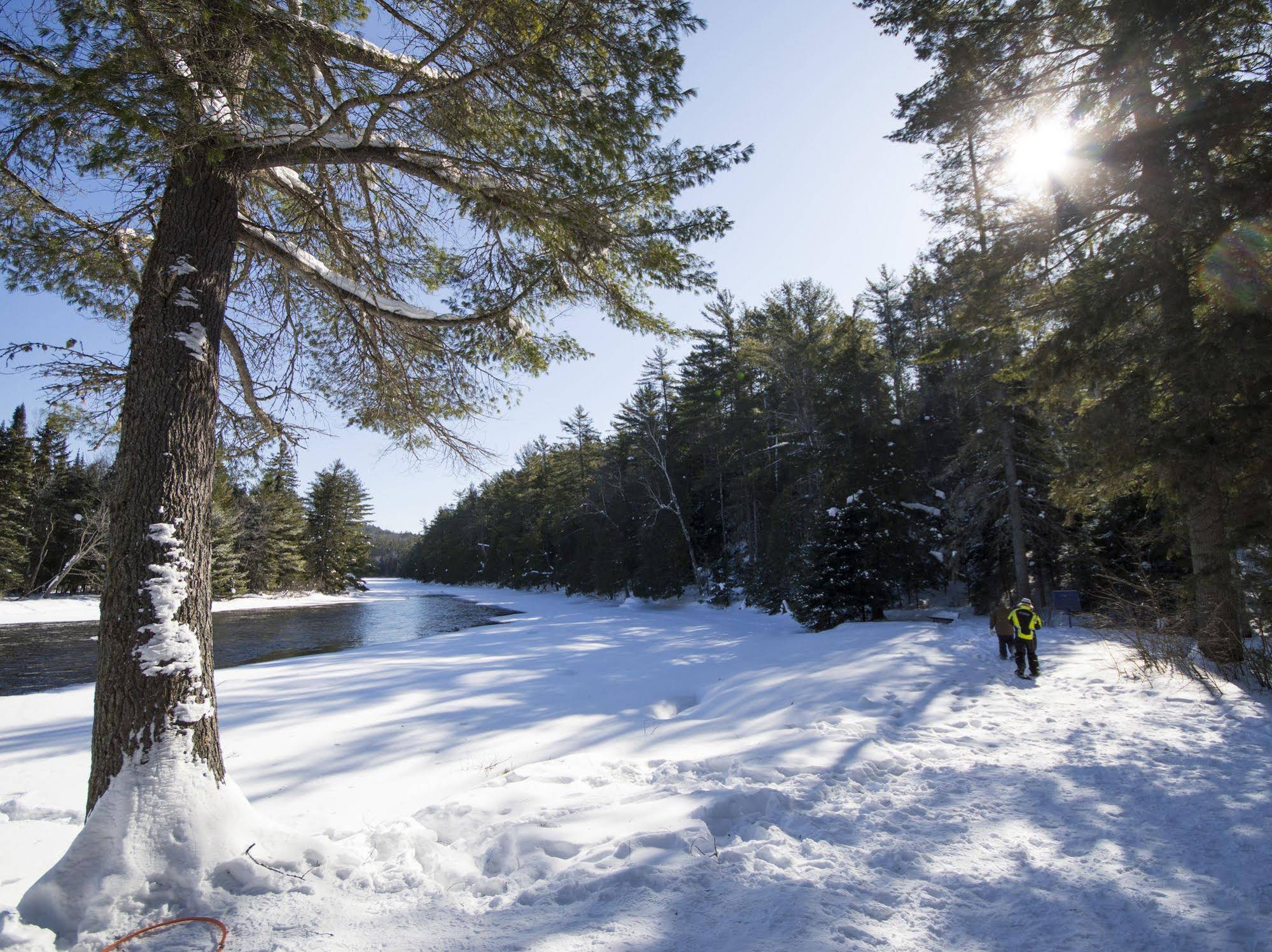 The Canadian Ecology Centre Cabins