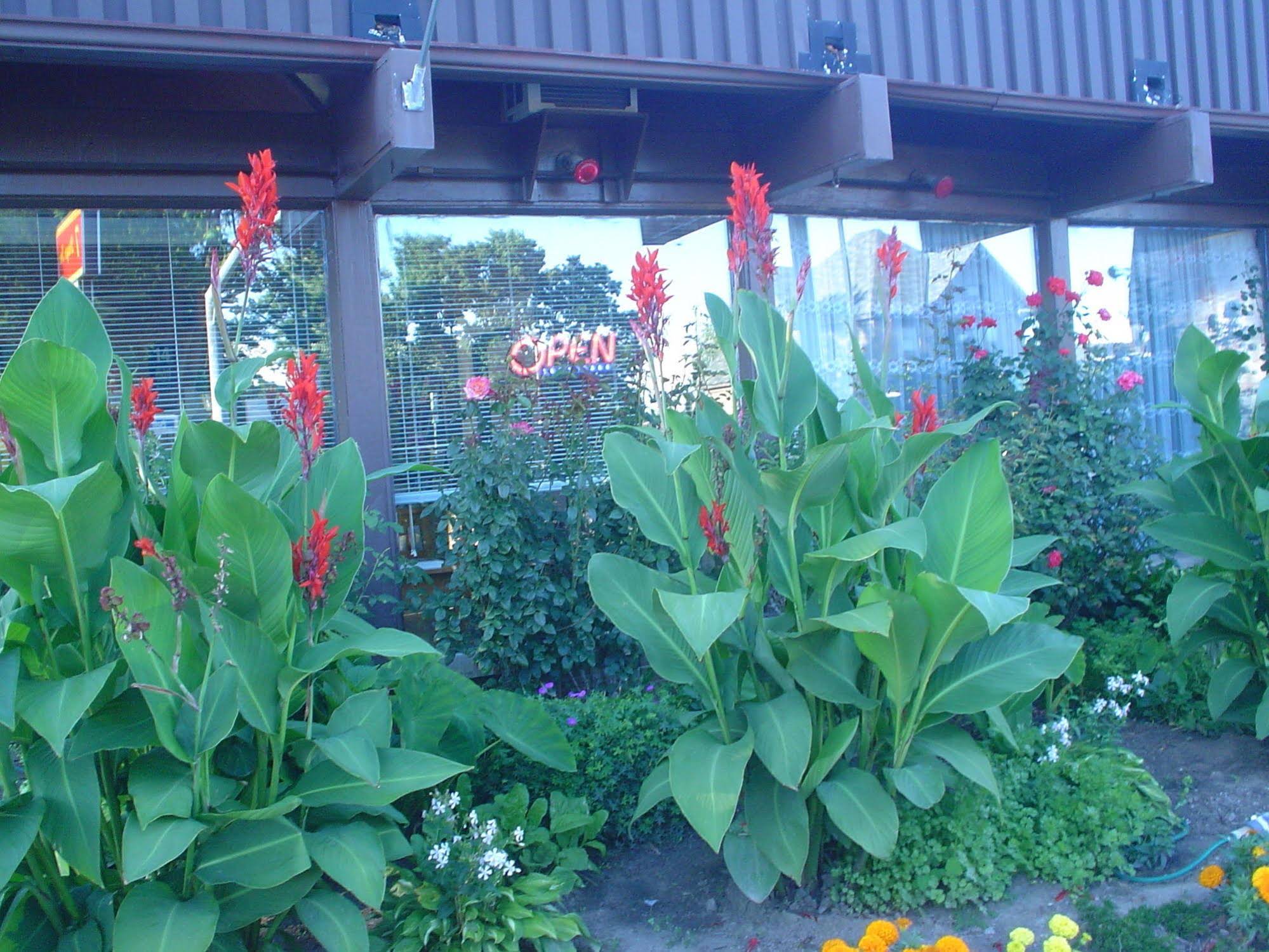 Advance Inn