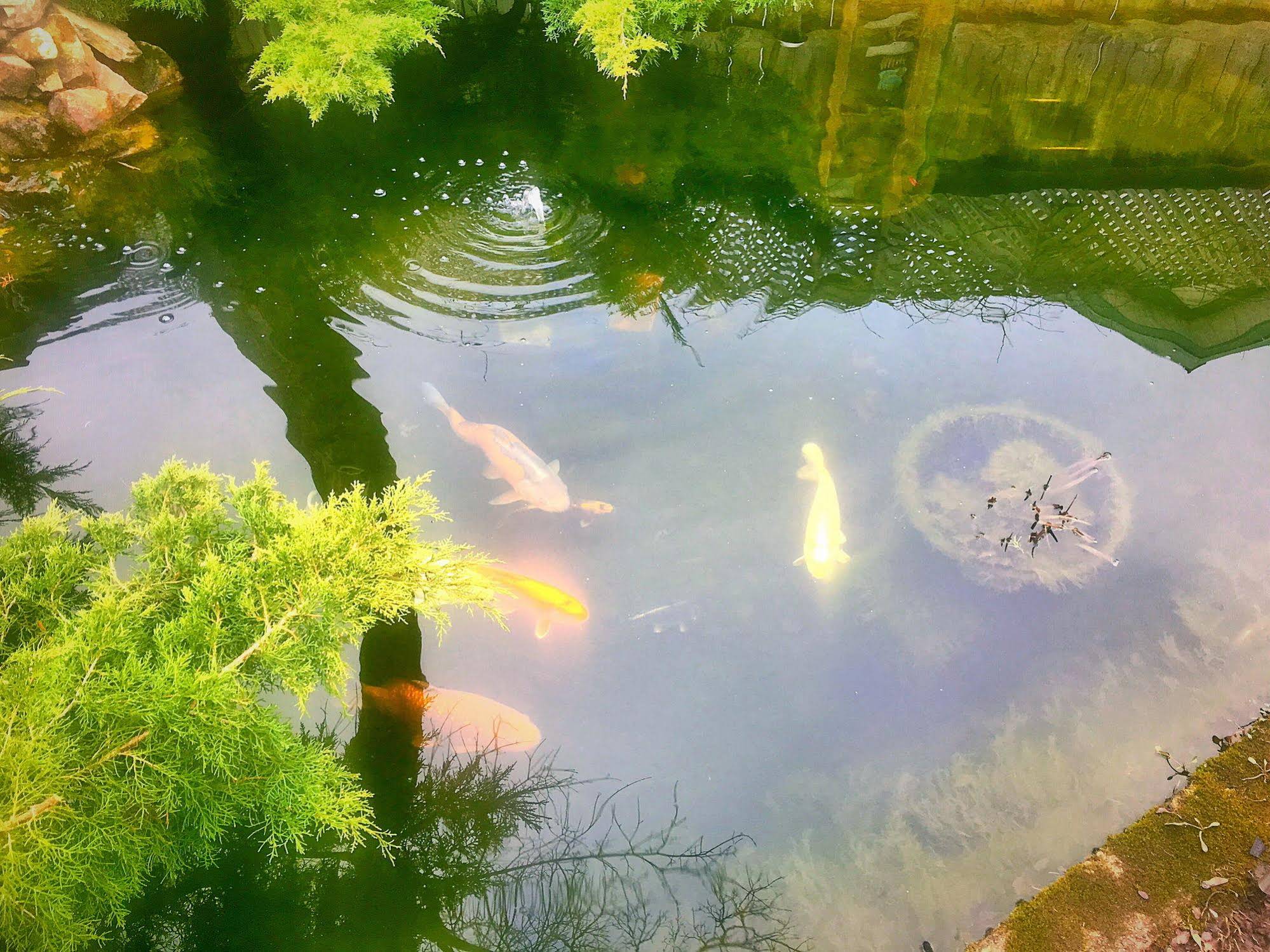 Blue Gables