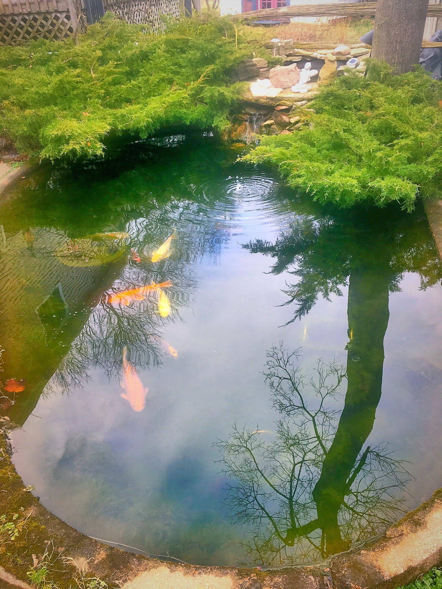 Blue Gables