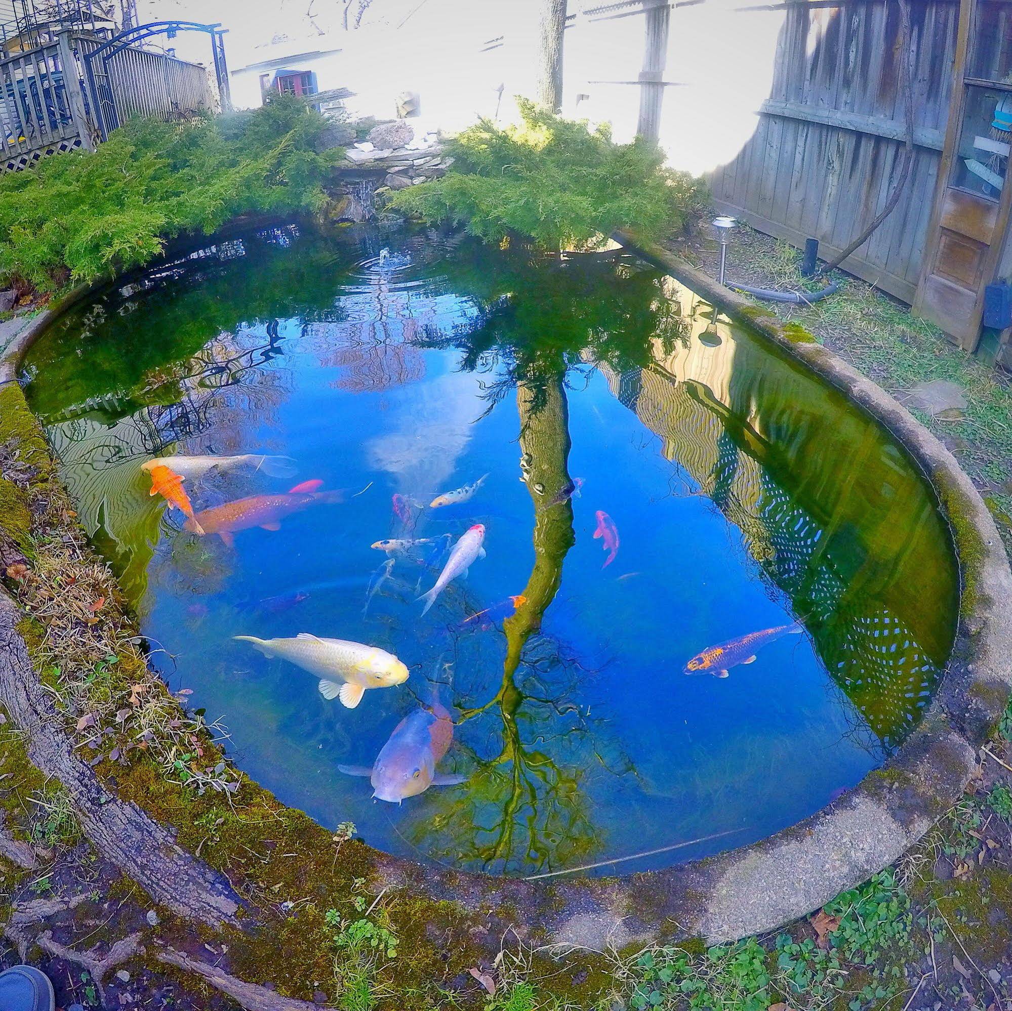 Blue Gables