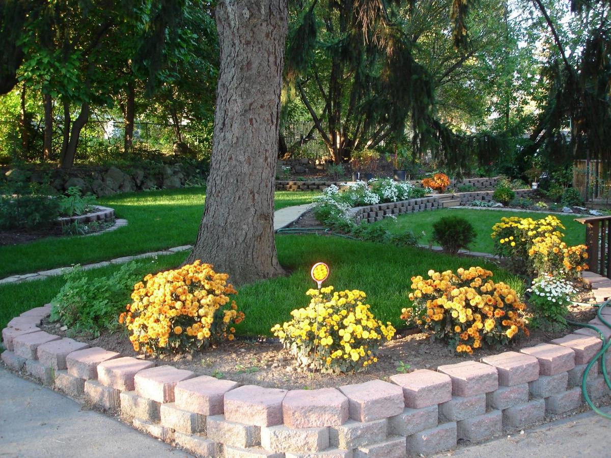 Susan's Villa