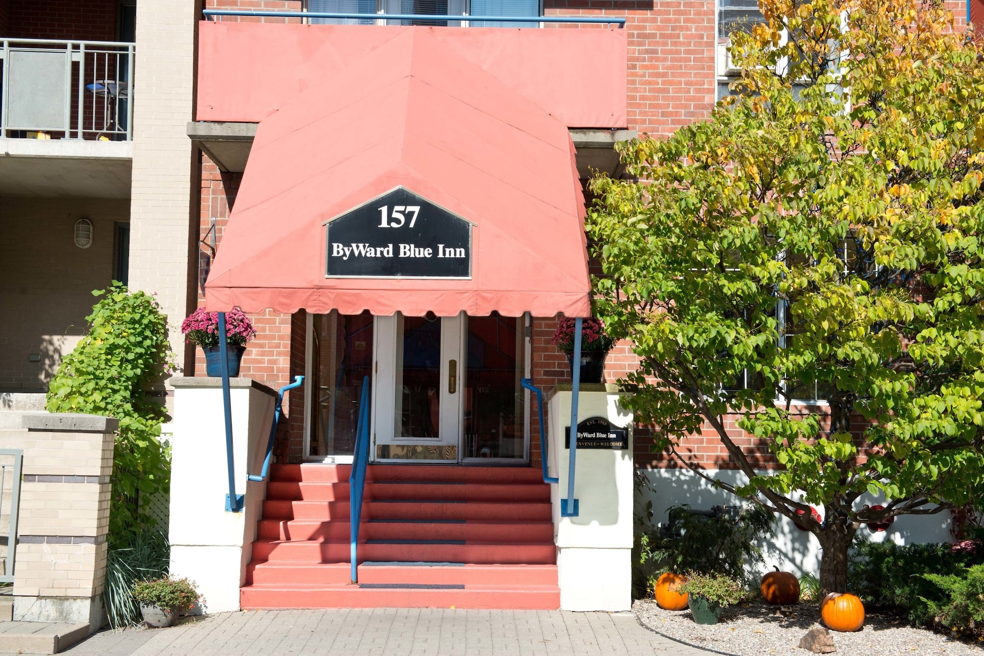 Byward Blue Inn