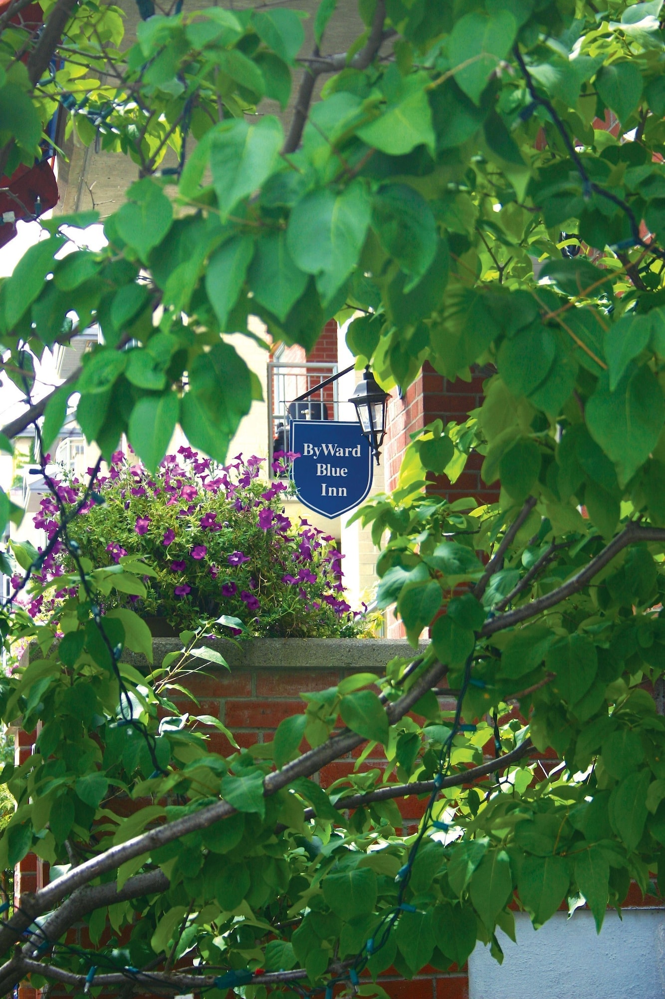 Byward Blue Inn
