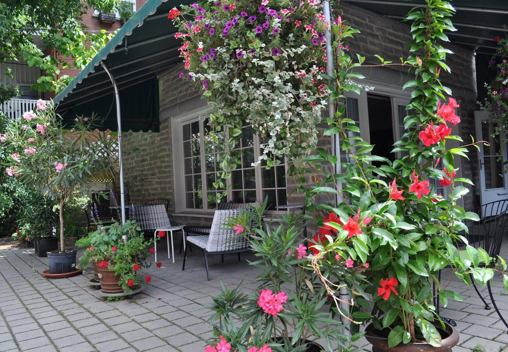 Swiss Hotel