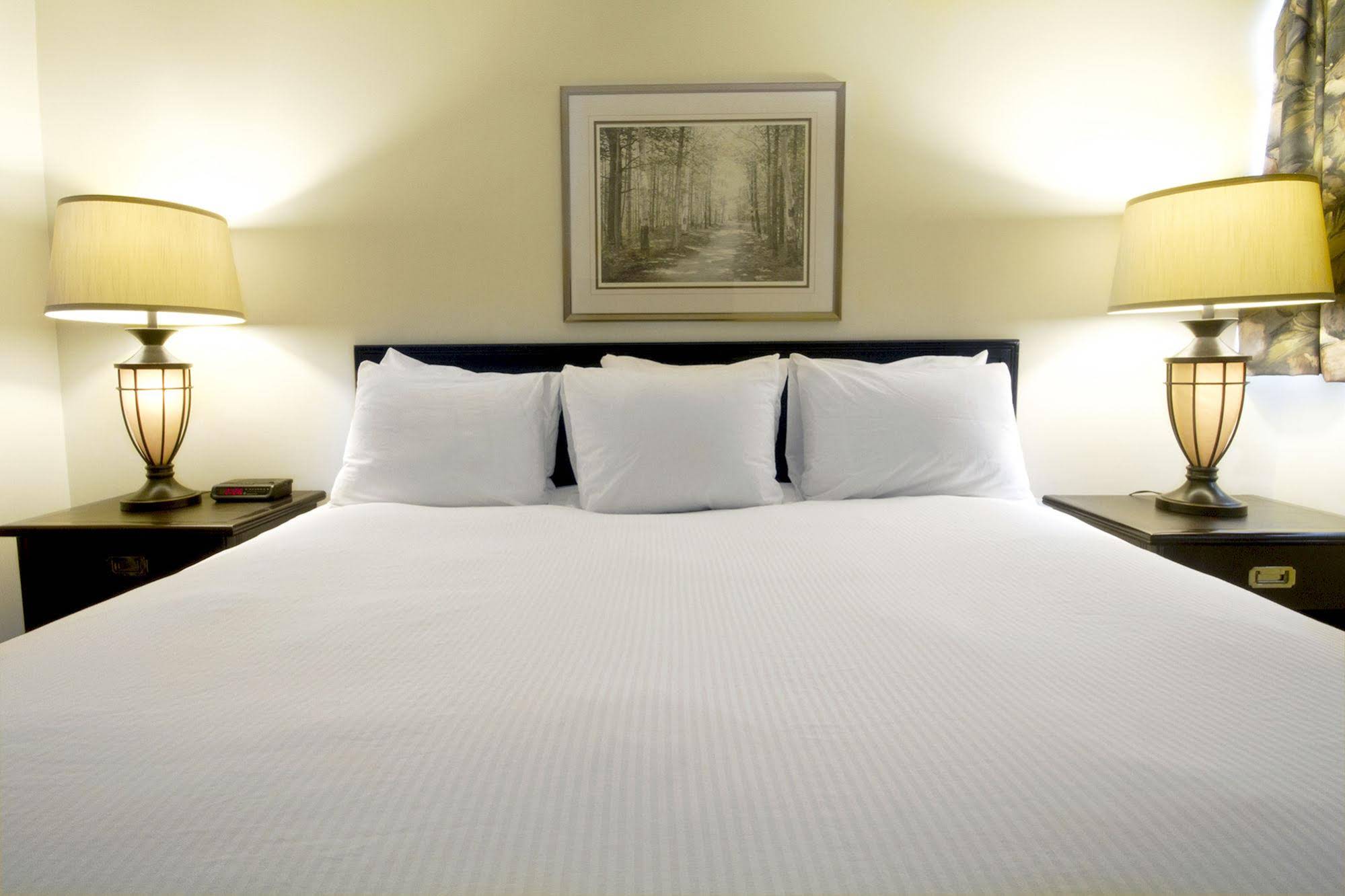 The Business Inn