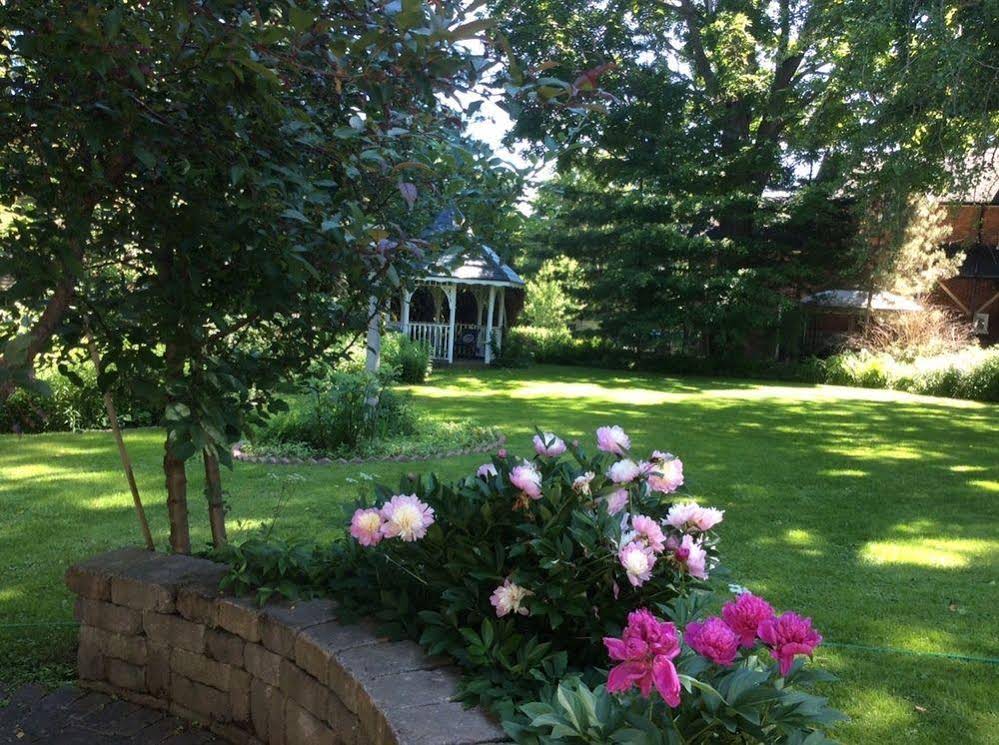 The Edwardian House B&B