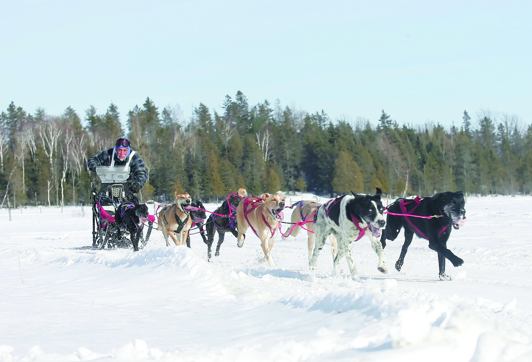 Holiday Inn Express & Suites Timmins